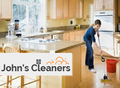 Domestic Cleaners SW4