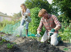 Gardening Services Clapham